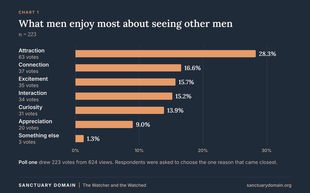 Bar chart: what men enjoy most about seeing other men (n = 223). Attraction leads at 28.3%, followed by connection 16.6%, excitement 15.7%, interaction 15.2%, curiosity 13.9%, appreciation 9.0% and something else 1.3%.