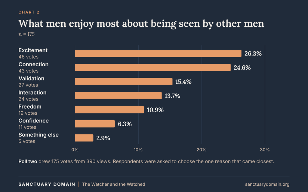 Bar chart: what men enjoy most about being seen by other men (n = 175). Excitement 26.3% and connection 24.6% lead, then validation 15.4%, interaction 13.7%, freedom 10.9%, confidence 6.3% and something else 2.9%.